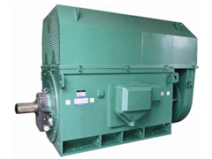 突泉Y系列6KV高压电机品质保证